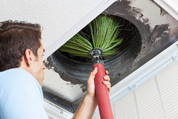 Best Air Vent Cleaning Services  in Hillandale, MD