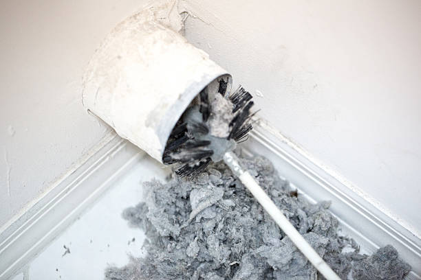 Best Affordable HVAC Duct Cleaning  in Hillandale, MD